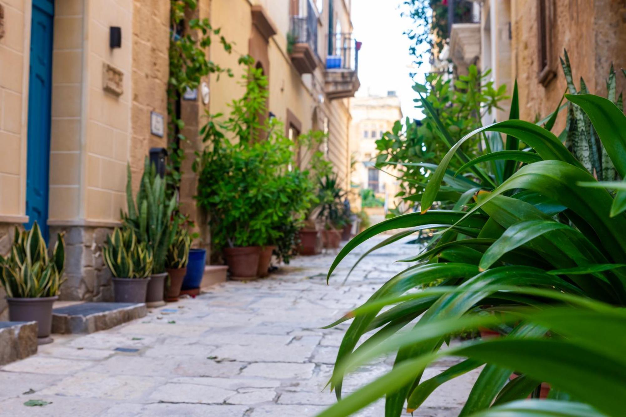 Great Siege Apartment Senglea Bagian luar foto